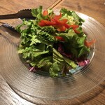 ミゲルフアニ - 