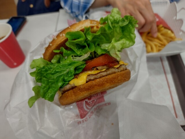 Domdom Hamburger Kodaira Ten photo 5