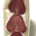 自由が丘さんど - ハニーストロベリーサンドNO.2