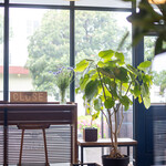 ベンチ コーヒー - 大きな窓