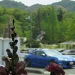 瀬戸内海鮮料理 若よし - 