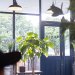 ベンチ コーヒー - 息子のツバ