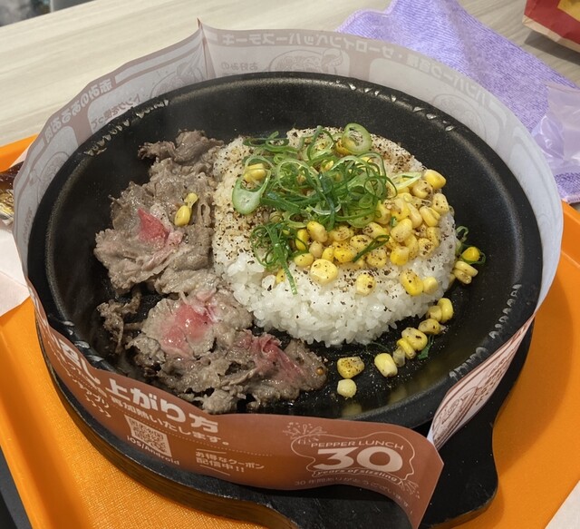 Pepper Lunch Ionmoru Toyokawa Ten