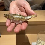 銀座 しのはら - 