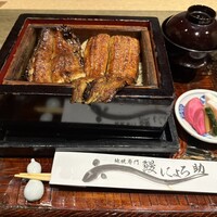 にょろ助 銀座 - 