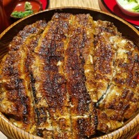 炭焼 うな富士 有楽町店 - 