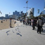 ソムンナンアムソカルビ - この日は社員旅行で韓国へ、皆で海雲台の水族館を訪問した後海岸線をウロウロ。
            
            その後お腹が空いたので海雲台でも美味しいと評判のこのお店に焼肉を食べに行きました。
            