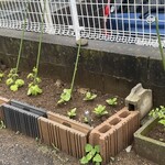 インデアンレストラン  ニューミラ - 