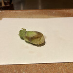 天ぷら 大坂屋 草哲 - タラの芽