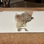 天ぷら 大坂屋 草哲 - ホタルイカ