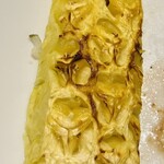 バルバッコア - 