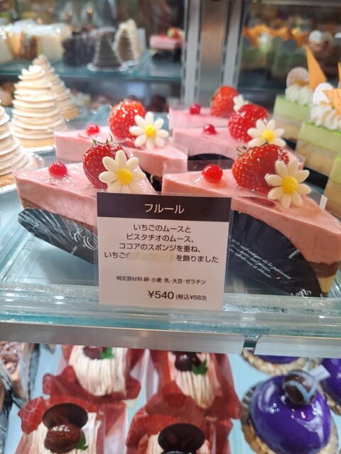 Quatre-quarts Kodaira Ten photo 5