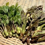 和牛 鉄板焼 おきに - 「こしあぶら」と「たらの芽」