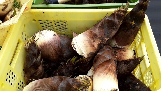 四十番 - 余目（ラーメン）の写真