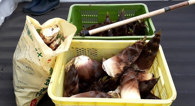 四十番 - 余目（ラーメン）の写真