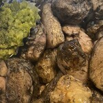 賢豊 - 料理写真: