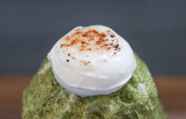 Bois Vert Terre photo 2