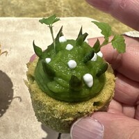 entre nous - アスパラガス 山椒　シフォンケーキ