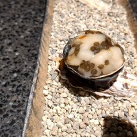 アニエルドール - 