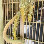 伝兵衛 - 