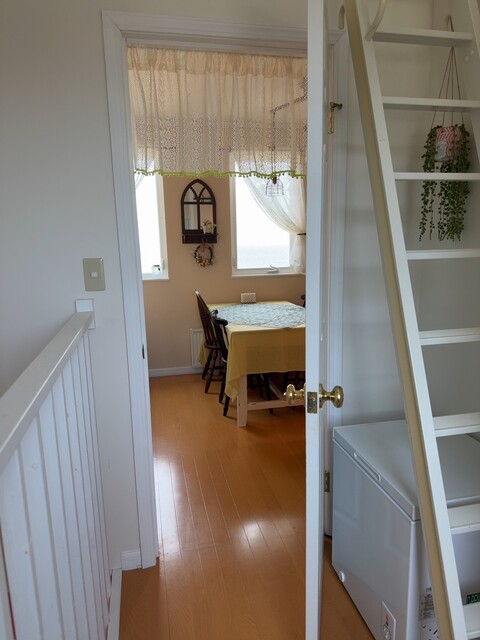 口コミ一覧 : Ice Cream Cafe Seasonの写真