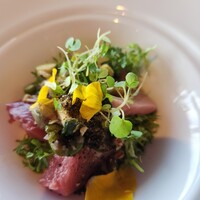 International cuisine subzero - 