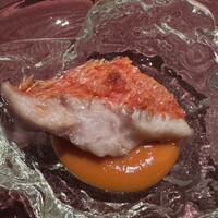 Potoro - 