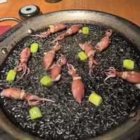 Potoro - 