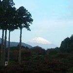 つつじの茶屋 - 富士山見えました♪