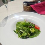 ベンジャミンテラスラウンジ - 