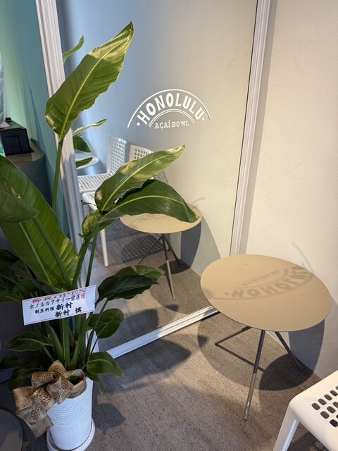 Honolulu Acai Sakae Ten photo 5