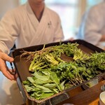 日本料理 別府 廣門 - 大将と弟子の皆さんで、集めた山菜