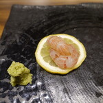 八志希 - 北海の宝石、島海老