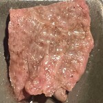 生粋 - カメノコ