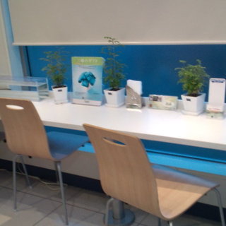 ファミリーマート_2