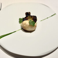 レフェルヴェソンス - 