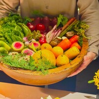 レフェルヴェソンス - 