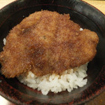 御清水庵 清恵 - +200円のミニソースカツ丼