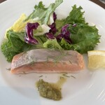 ビストロ天下井 - ノルウェーサーモンのミキュイビーツのヴィネグレットのサラダ仕立て