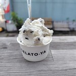 ジェラート屋 - チョコミント