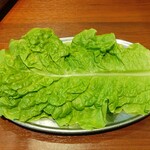 ぐりぐり家 - サンチュ (2025.05.06)