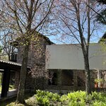 イレブンシス ティールームス - 