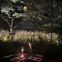 TRATTORIA CREATTA - 