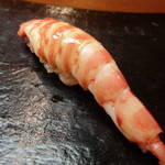 日本橋橘町　都寿司 - 車海老(2014/7)