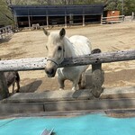 南ヶ丘牧場 つむじかふぇ - 