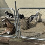 南ヶ丘牧場 つむじかふぇ - 