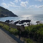 中華そば処 琴平荘 - 