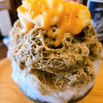 ツキトクルミ - 