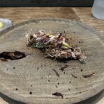 レヴォ - ホタルイカ