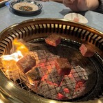 オーロックス - 